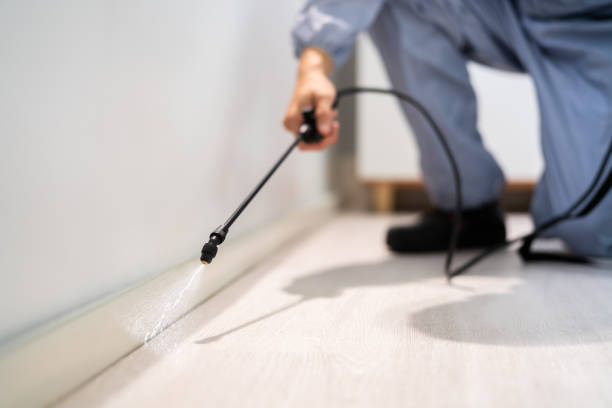 Licensed Termite Control service in Charlotte County County, VA - Nex Pest Control