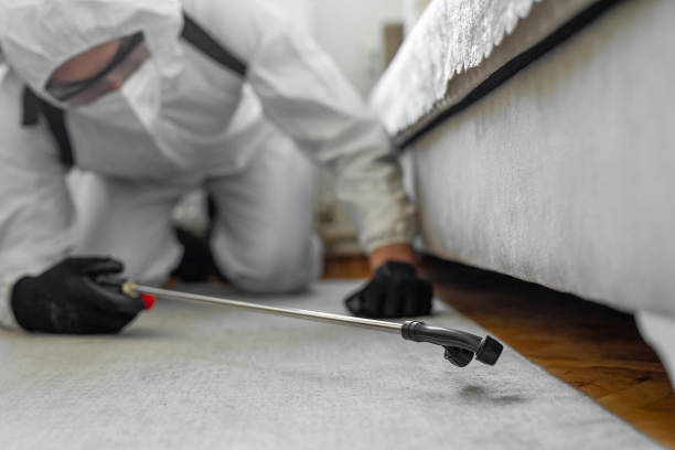 Professional Termite Control technician working in Charlotte County County, VA